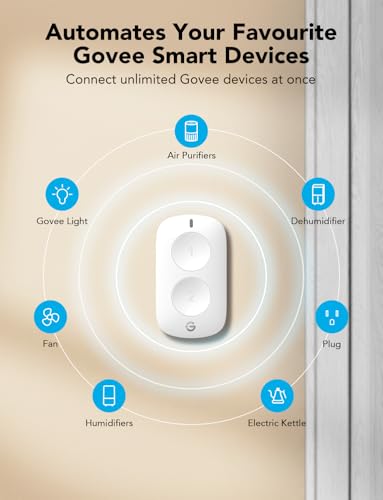 GoveeLife Smart Mini Double Button Switch Oval - Group Control for Multiple Devices