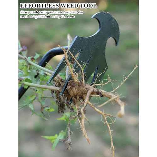 WMM Weed Puller Tool Gardening Tools Set of 2 Uprooting Weed Pulling Tool, 4 Teeth Manganese Steel Forged Weeding Tool for Vegetable, Portable Hand Weeder Tool for Garden Farm Planting Weeding