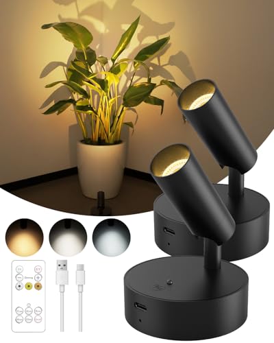 GOODEA Black Rechargeable Indoor Spotlights with Remote, 3000mAh, 3 Color Temperatures
