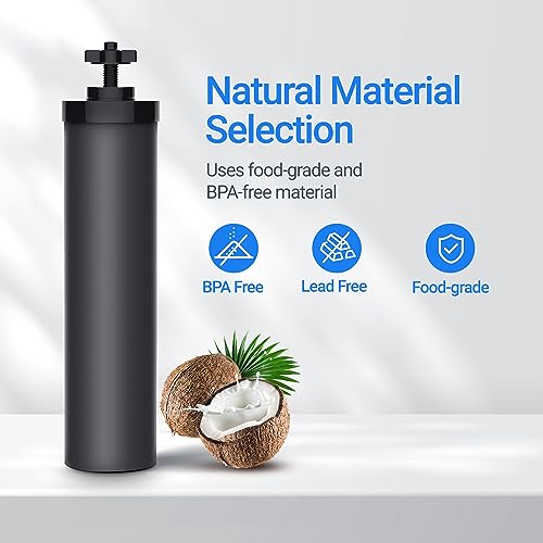 Filterlogic 2 Pack Gravity Water Filter Replacement for Berkey BB9-2® & Purewell