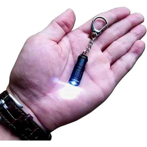 e1 Smallest Keychain Flashlight Micro Tiny Mini Keychain Light Long-Lasting Safety Light for Everyday Carry Emergencies Outdoor Dog Walking Hiking Camping Nice Gift for Parents Kids