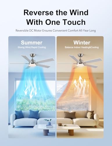 Rayqueen 52-Inch Nickel Ceiling Fan with Lights, Remote & Downrod Mount
