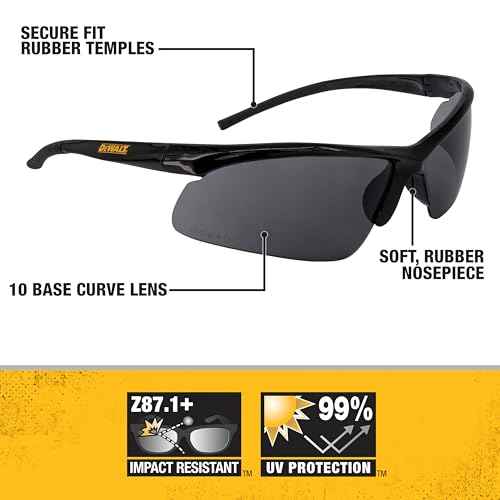 DEWALT DPG51-2C Radius Smoke 10 Base Curve Lens Protective Safety Glasses