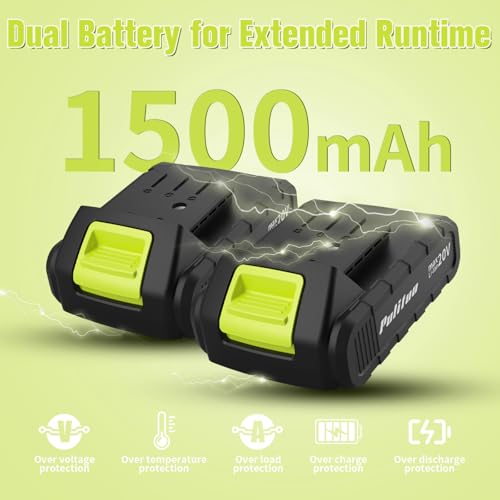 20V Green Cordless Drill/Driver Kit with 2 Batteries, 30Nm Torque, 21+1 Settings