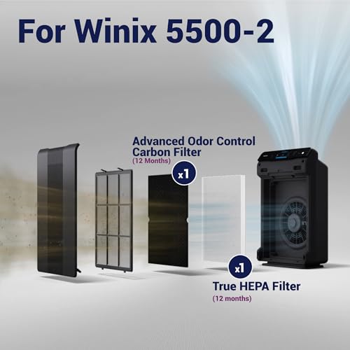 Genuine Winix 5500-2 Replacement Filter H (2 Count) for Winix 5500-2 Air Purifier, White