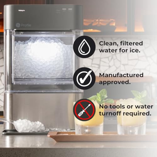 GE Opal Nugget Ice Maker Carbon Water Filter - Non-Scale Inhibiting 1 Pack