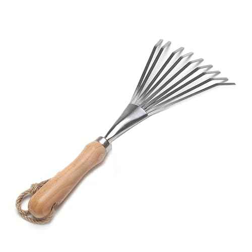 9 Tines Fan Lawn Leaf Hand Rakes Stainless Steel Beech Handle Soil Tille Garden Shrub Rake Small Leaf Rakes for Sweep Leaves & Loose Debris in Garden Lawns Yards 14.5 inch
