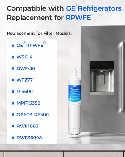 Waterdrop WD-F19C Water Filter Replacement Pack for GE RPWFE - 2 Pack