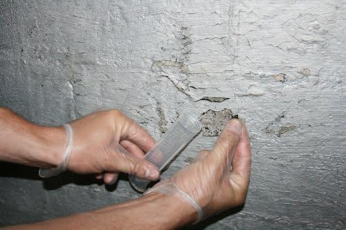 Lead Test Kit in Paint, Dust, or Soil 5PK (5 Bus. Days) Schneider Labs