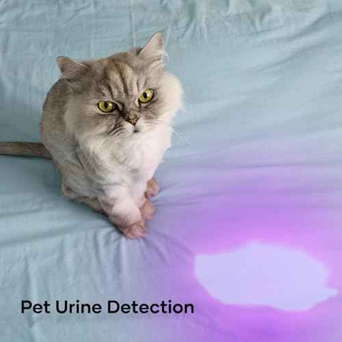 1 Mode UV 365nm Blacklight Flashlight LED Ultraviolet Flashlights Portable Uv Light Wood's lamp Detector for Dog Urine Pet Stains, Anti-counterfeiting and More - Powered by Single AA Battery