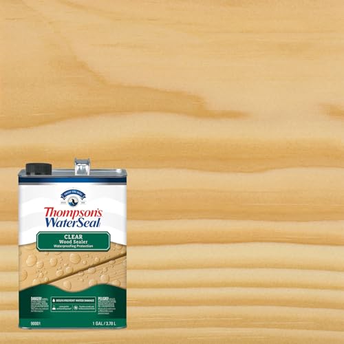 Thompson's WaterSeal Clear Wood Sealer - 1 Gallon Exterior Waterproofing