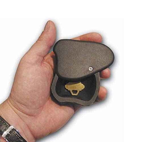 Lucky Line Rock Key Hider, Cash Hider, Medium, Pack of 1, Brown or Gray (90601)