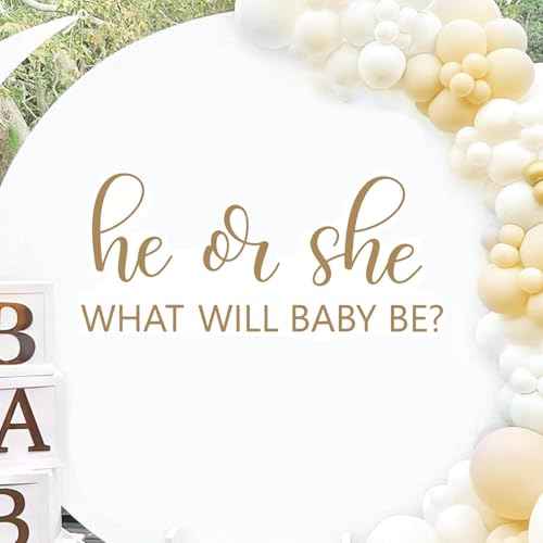 He Or She What Will Baby Be Balloon Arch Decoration for Backdrop, He Or She Gender Reveal Decorations Girl Or Boy Baby Shower Decal Sign Wall Sticker for Party, Balloon Arch, Backdrop, Room