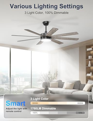 Phylluz 60'' Black Ceiling Fan with Lights Remote & App Control