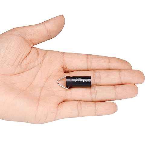 LIGHTFE MINI01 Keychain Flashlight Mini Keychain Light is Light, Small, and Bright (Mini01 Black)