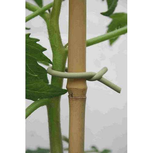 50-3010 Haxnicks Slim Soft Tie for Plants & Trees, 26.3', Green, 26.5