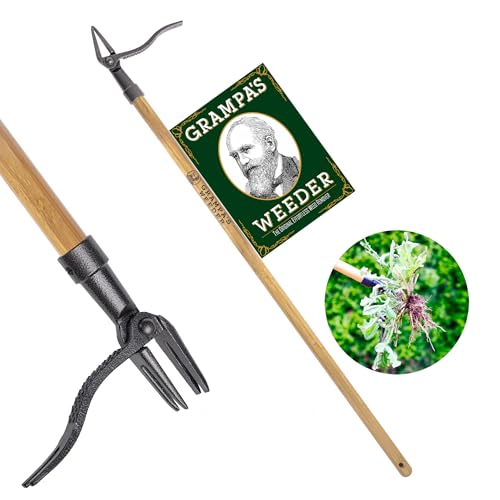Stand Up Weed Puller Tool with Long Bamboo Handle - Grampa's Weeder