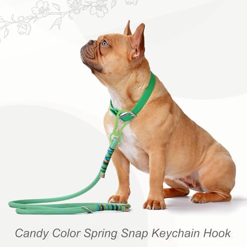 Yellow uxcell Spring Snap Clip Key Chain Hook with O Ring - Pack of 10