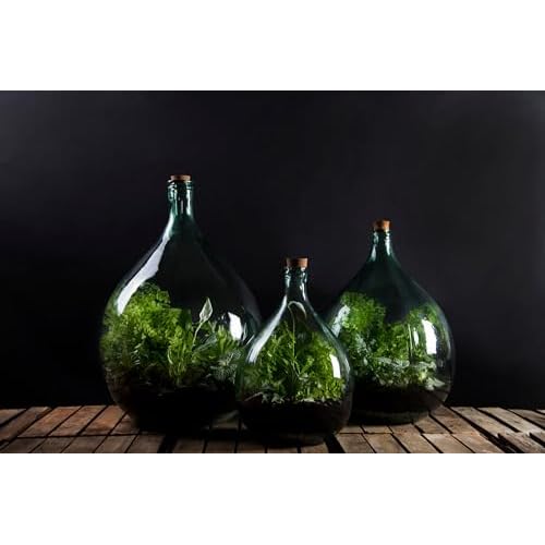 Esschert Design GT163 Telescoping Terrarium Rake and Trowel Tool Set, Stainless-Steel