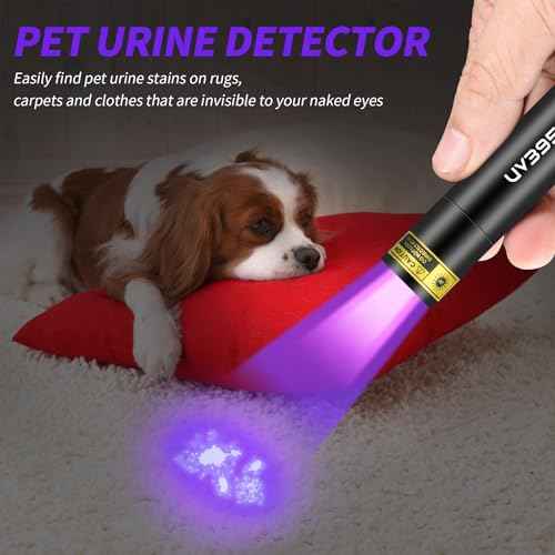 UV Flashlight Black Lights Wood¡¯s Lamp Powerful Mini Portable, LED 395nm USB Rechargeable Ultraviolet Blacklight Flashlights, Pet Urine Detector Light for uv Resin Curing