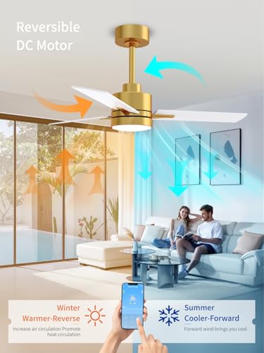 LANMEL 42 Inch Gold & White Metal Ceiling Fan with Lights & Remote Control - Downrod Included