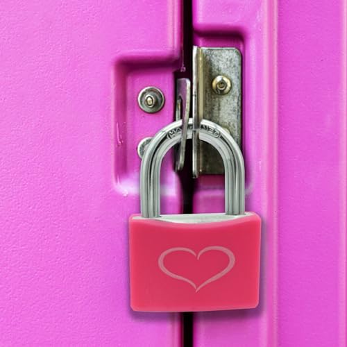 2 Pack Pink Padlock with 3 Keys, Locker Lock with 1-9/16" (40 mm) Wide Aluminum Lock Body, Padlock Keyed Alike for Gym Locker, Gate, Sheds, Storage Unit, Fence, Toolbox