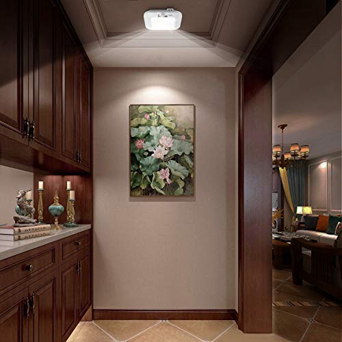 6000K Battery Operated Ceiling Light with Motion Sensor - Indoor LED Fixture