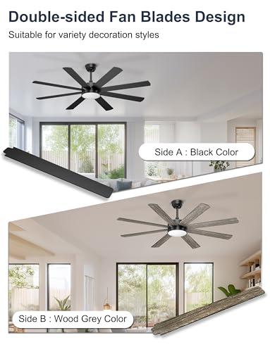Phylluz 60'' Black Ceiling Fan with Lights Remote & App Control