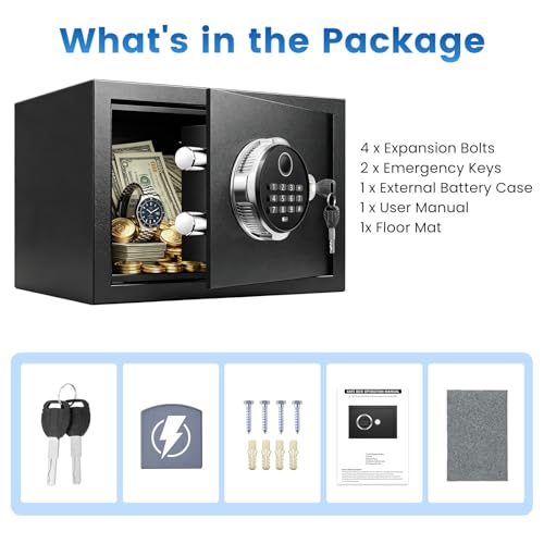 FOWORE Small Biometric Safe Box for Home Security, Compact Steel Design