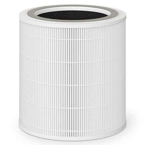 R0010 Replacement Filter, Compatible with Puraclenz Core 750 Purifier, 3-in-1 Filter, 1 Pack