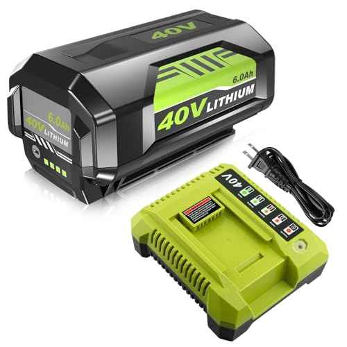 Upgraded 40 Volt 6000mAh ithium ion OP4060 Battery and OP401 Charger Replacement for Ryobi 40v Battery and Charger Combo P403A OP4026 OP4050A OP4040 OP4060 Compatible with Ryobi 40 Volt Power Tools