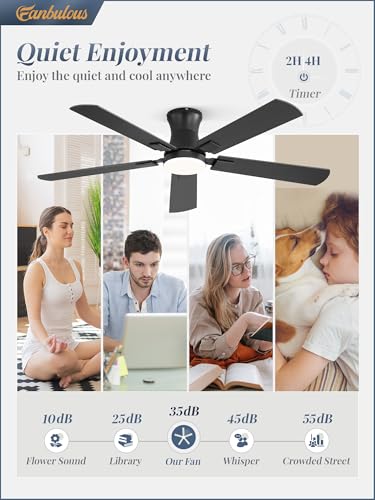 Fanbulous 52-Inch Black Ceiling Fan with Light, Remote & App Control