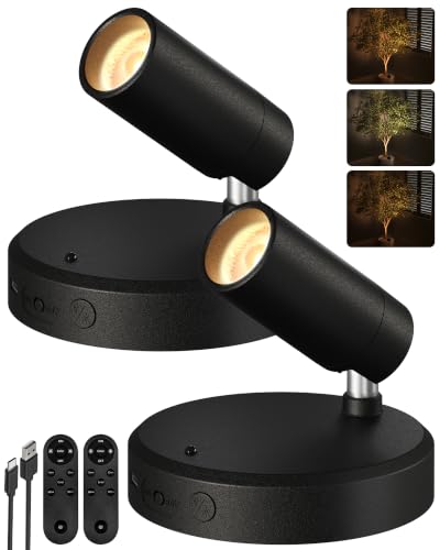EZVALO Black Rechargeable Indoor Spotlights for Wall Display, 2 Pack