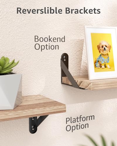 COCOYA Black 4x3 Wall Shelf Brackets 6 Pack with Screws & Anchors