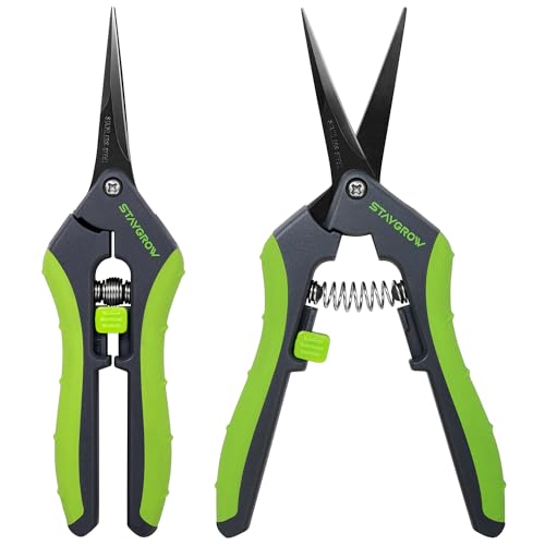 STAYGROW 6.5 Inch Straight & Curved Pruning Shears - Ultra Sharp Garden Scissors, 2-Pack
