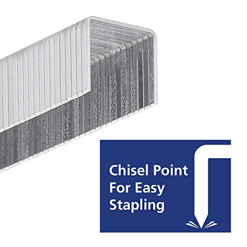 Heavy Duty Galvanized Staples & Brad Nails Kit for Upholstery & Carpentry - 7500 Count