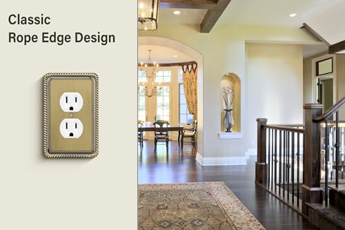 Henne Bery Single Duplex Antique Brass Wall Plate - 2 Pack Decorative Switch Cover