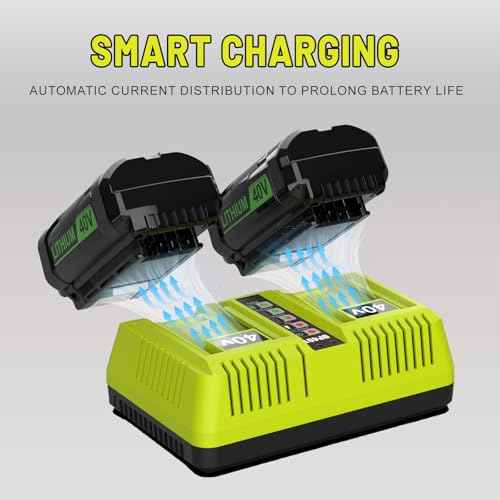 Dual Port OP401 Fast Charger Compatible with Ryobi 40V Battery OP4015 OP4026 OP4050 OP4060 Replacement Ryobi Charger 40V