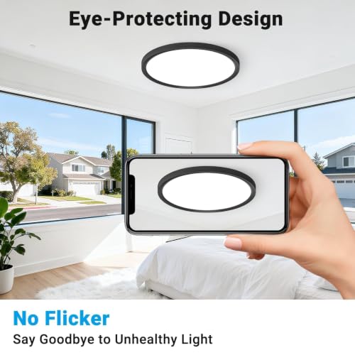 Fairdeer Black 12-Inch LED Flush Mount Ceiling Light 5 Color Temperatures 2-Pack