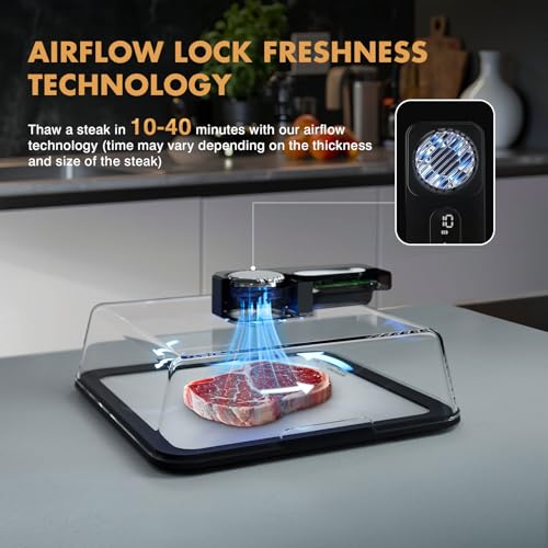 AuntyFey Black Rapid Defrosting Tray for Frozen Meat – Thawing Plate