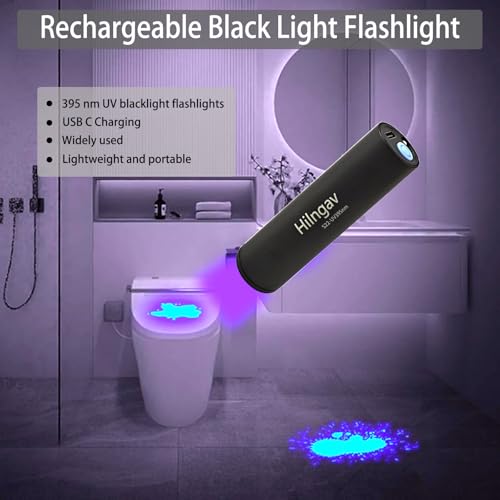 10 Pack Rechargeable Black Flashlight Small UV Black Flash Light 395 NM, Mini USB C LED Blacklight Flashlights Handheld Torch for Pet Dog Urine Resin Curing Fluorescent Agent Stains Detection