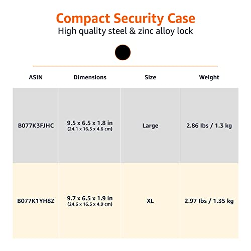 Amazon Basics XL Portable Security Case with Combination Lock for Valuables