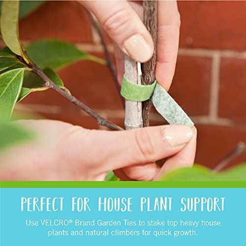 VELCRO Brand VEL-30071-USA ONE-WRAP Garden Ties | Plant Supports for Effective Growing | Strong Grips are Reusable and Adjustable | Cut-to-Length, 50 ft x 1/2 in, Green-Recycled Plastic