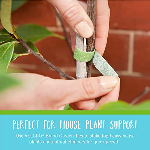 VELCRO Brand Recycled Plastic Garden Ties 50 Ft x 1/2 in Green, Adjustable Plant Support