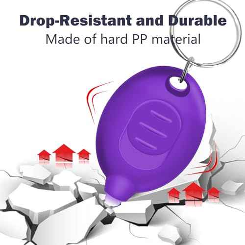 Mini UV Keychain Flashlight, Portable Black Light, 12 Lumen Ultra Bright Tiny Flashlight, Small Keychain Flashlight for Stain Detection & Scorpion Finder, Battery Included (12PCS)