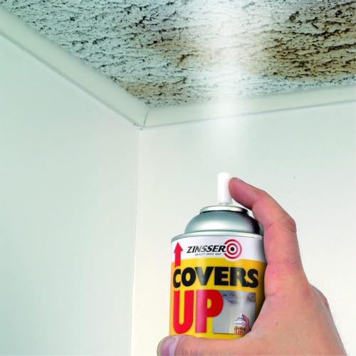 Zinsser Covers Up Ceiling Paint & Primer Spray White 13oz - Quick Ceiling Stain Cover