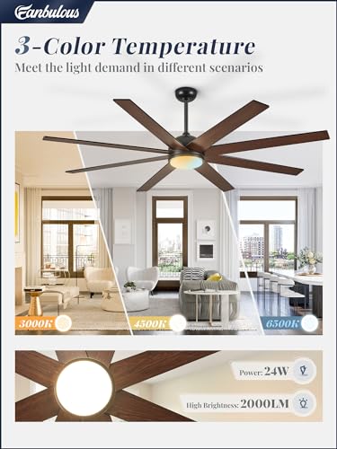 Fanbulous 65 Inch Black Ceiling Fan with Reversible Blades, 3CCT Lights & Remote