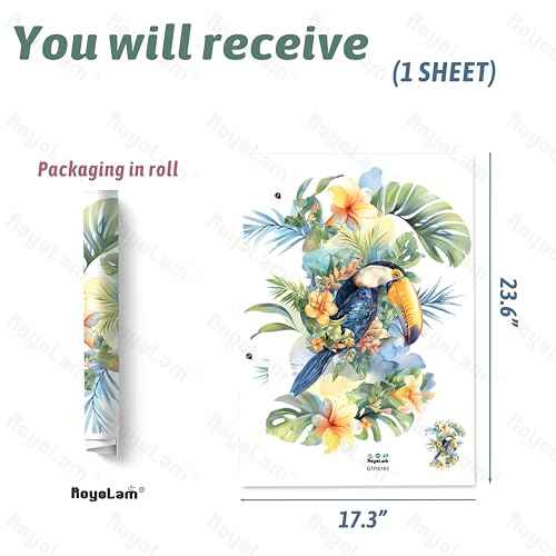 Tropical Toucan Wall Decals Removable Bird & Flower Vinyl Stickers for Nursery Kids Bedroom and Playroom Decor Peel and Stick Boho Wall Art