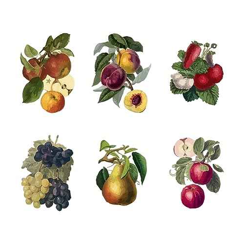SUPERDANT Vintage Fruits Wall Stickers Grapes Peaches Wall Decals Kitchen Retro Country Art Decor Peel and Stick Vinyl Murals for Refrigerators Cabinet Dining Room Livingroom Nursery Decoration