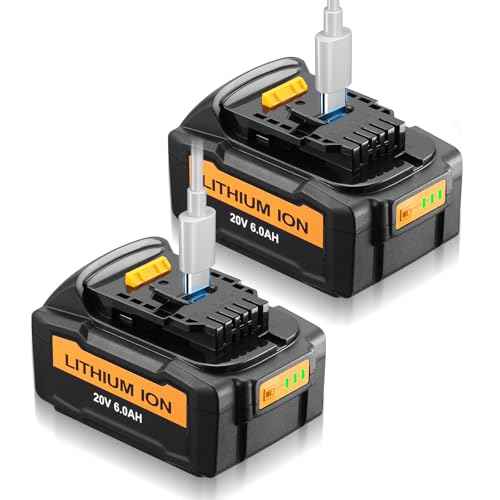 RYIBME ¡¼USB-C Charging¡½ 2 Pack 20V 6.0Ah Replacement for Dewalt Battery with Type-C Port Charging Compatible with DCB200 DCB204 DCB206 DCD DCF DCG Series Cordless Power Tools